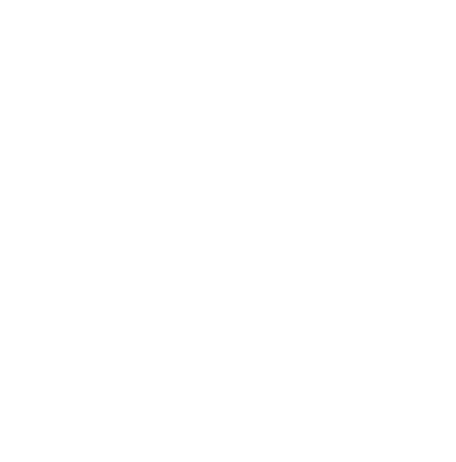 hugeicons_web-security
